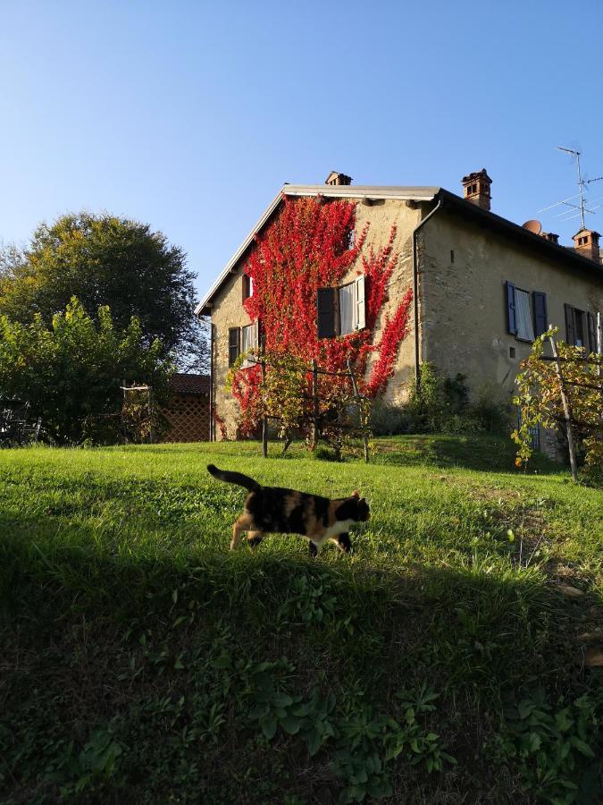 Agriturismo La Costa - Casa Vacanze Rovagnate Dış mekan fotoğraf