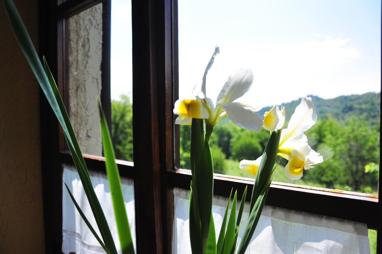 Agriturismo La Costa - Casa Vacanze Rovagnate Dış mekan fotoğraf